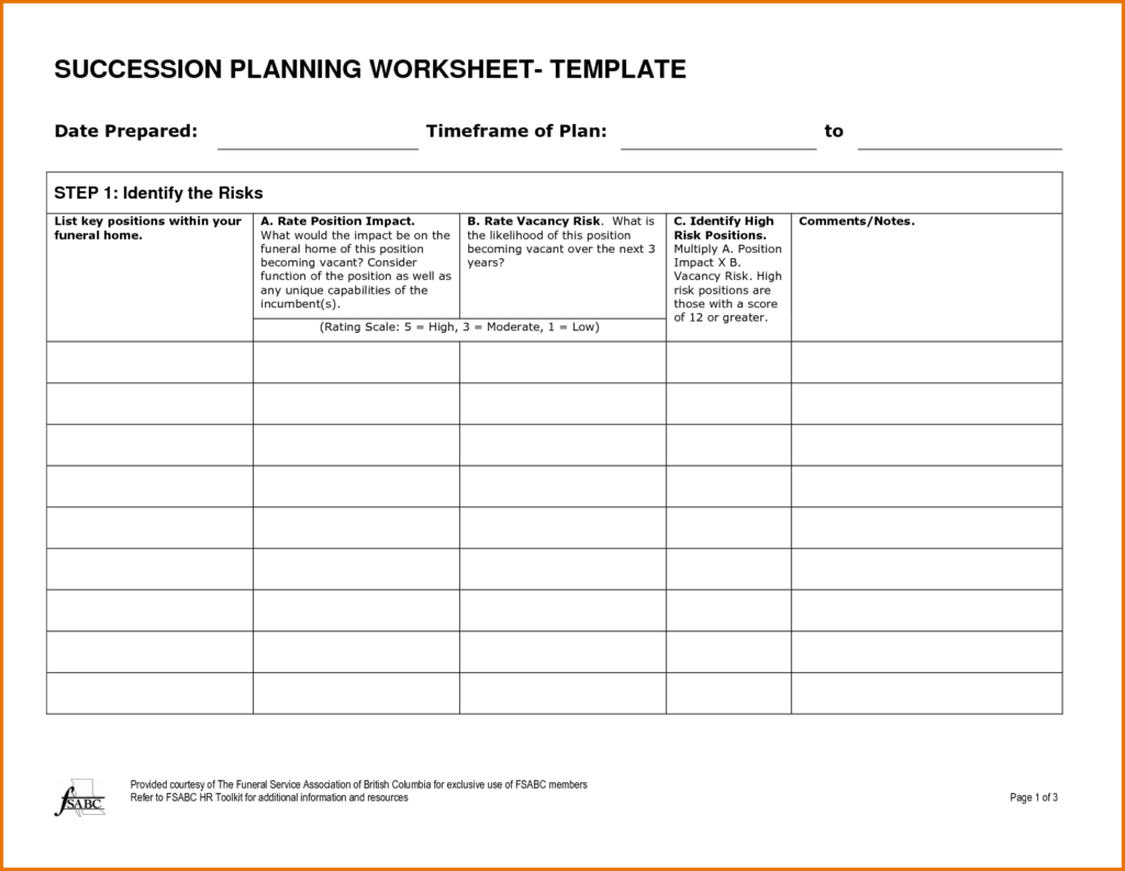 succession-plan-template-formatted-blank